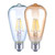 Westgate Manufacturing LED ST19 Bulb, E26, 110~130V, vintage filament style decorative light bulb with clear and amber tinted glass for home and industrial lighting.