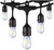 Westgate Manufacturing LED STRING LIGHT 24FT 12SOCKET, black outdoor string lights with 12 LED bulbs for festive or outdoor decorating.