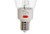 Halco LED HID Filament ED37 Lamp 60W-85W 3000K Selectable Lumens (10200/11560/14450) EX39/E39 Base, close-up image showing the bulb with adjustable lumen switch and E39 base of the LED filament lamp.