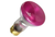 R20 Reflector Flood Incandescent Bulb 50W 2700K Medium (E26) Base 130V Dawn Pink Dimmable