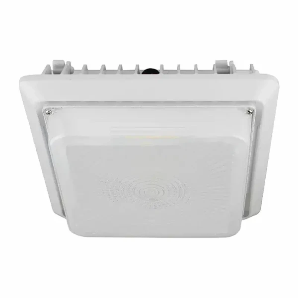 Frosted Replacement Lens for CGL-75W & 100W - CGL-FL2