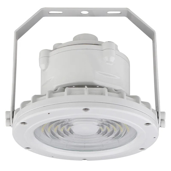 C1D2 HAZ. LOC. Round Hazardous Location Flood/Highbay Lights, 30W, 5000K