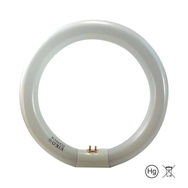 Eiko 32W Cool White Circline T-9 G10Q Base, a circular fluorescent light bulb with a white coating and G10Q base for energy-efficient lighting.