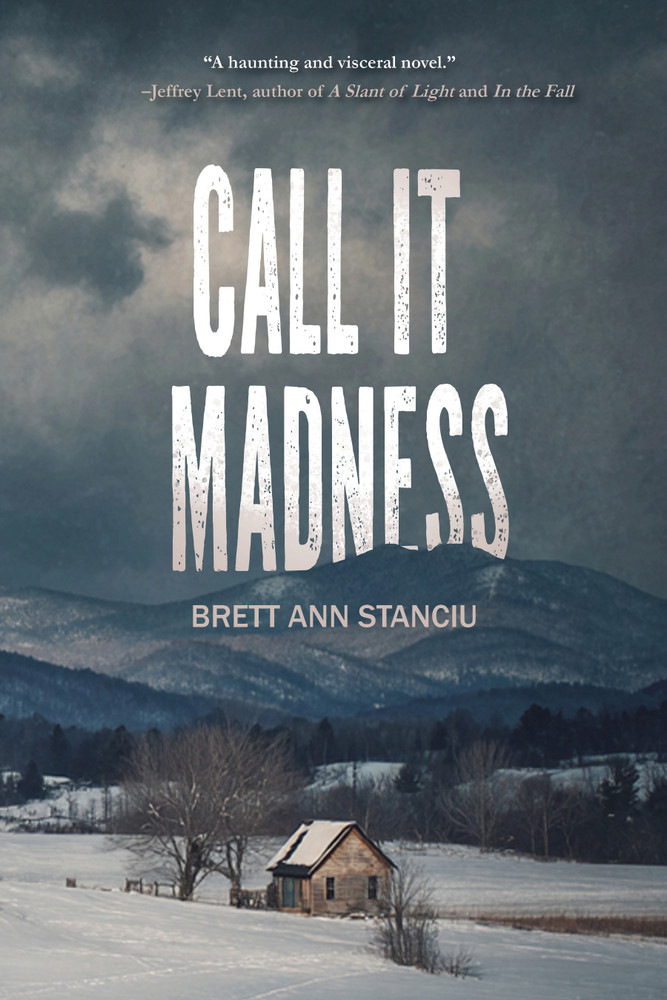 Call It Madness by Brett Ann Stanciu