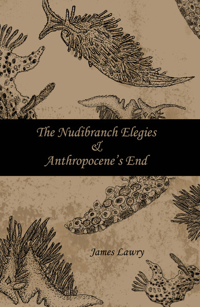 The Nudibranch Elegies by Jim Lawry
