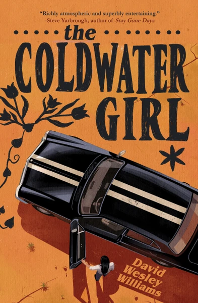 The Coldwater Girl by David Williams