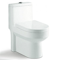 Siphonic One-Piece Oval Toilet