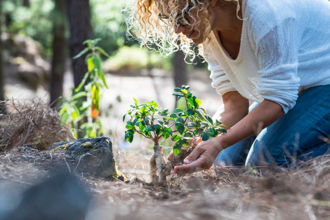 Stainless Door Hardware Celebrates Earth Day in a Major Way