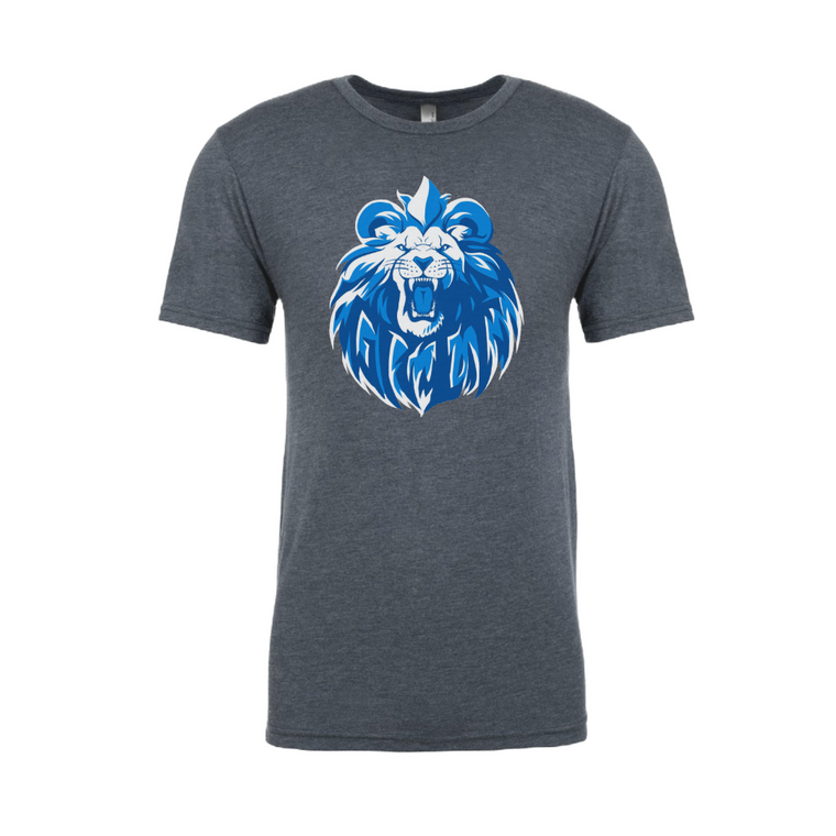 Detroit Football All Grit mens/unisex t-shirt