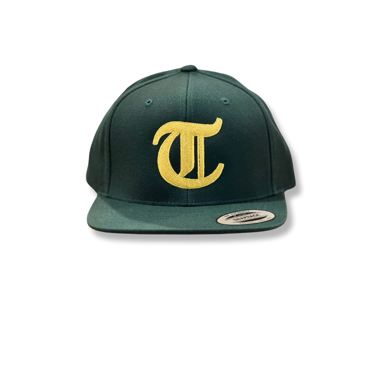 Old Town Tacoma adult snapback hat