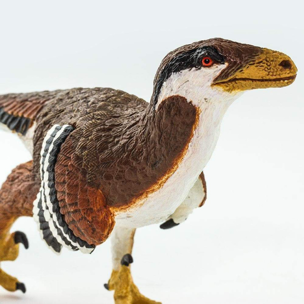 Safari Ltd Deinonychus closeup