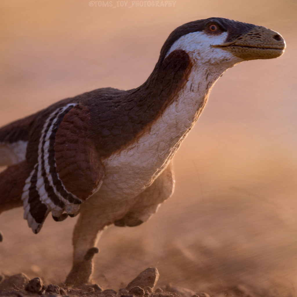 Safari Ltd Deinonychus photo by Tom Dixon