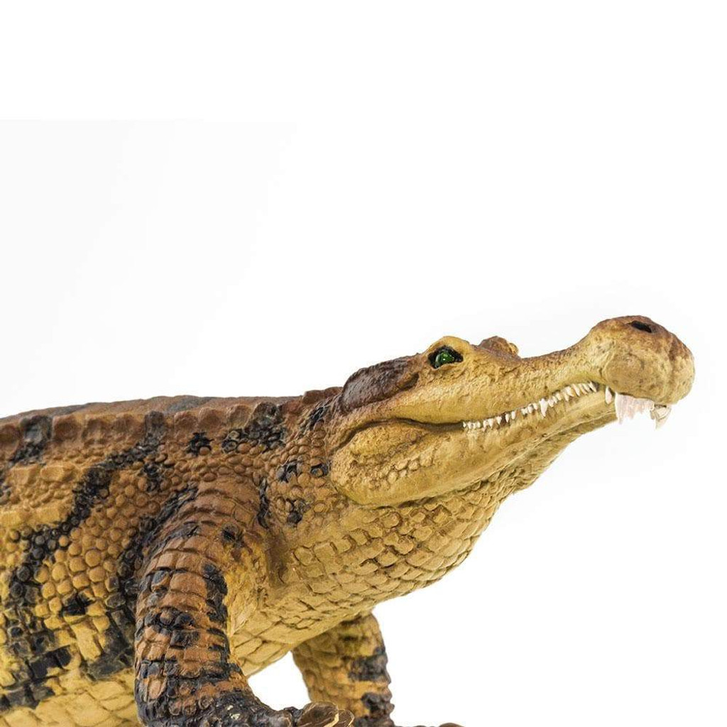 Safari Ltd Sarcosuchus closeup