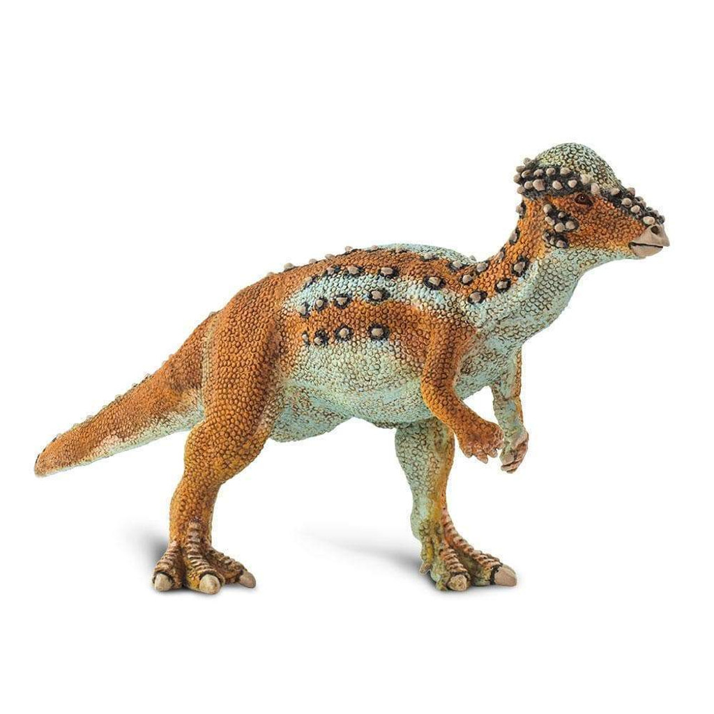 Safari Ltd Pachycephalosaurus front angle