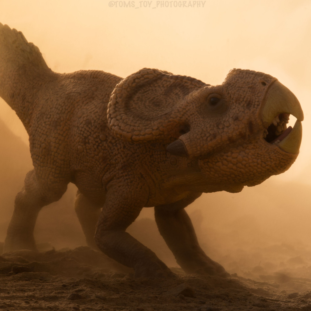 CollectA Deluxe Protoceratops photo by Tom Dixon