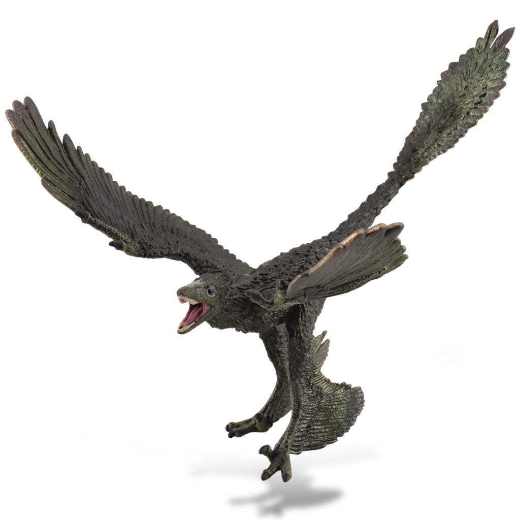 CollectA Microraptor 1:6 scale prehistoric model