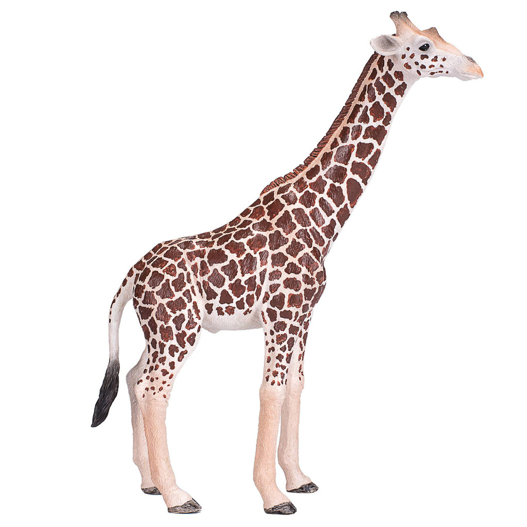 Mojo 2020 Giraffe Male