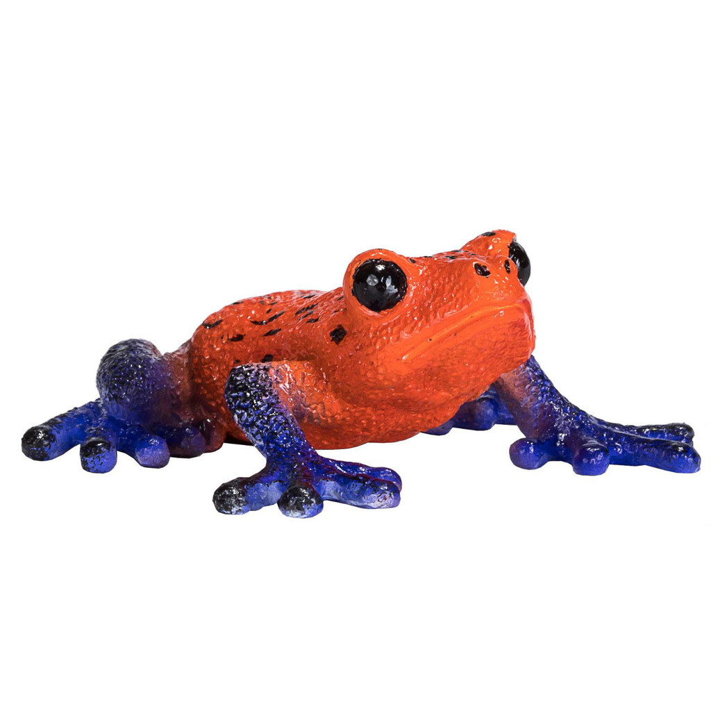 Mojo Poison Dart Tree Frog front view