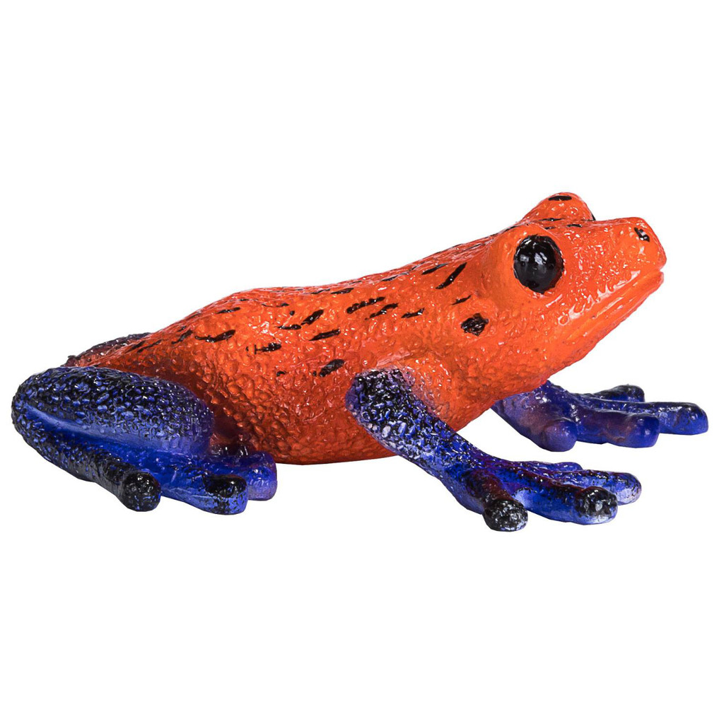 Mojo Poison Dart Tree Frog side view