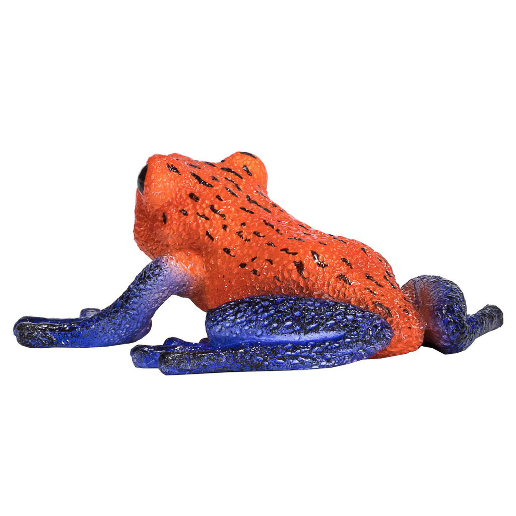 Mojo Poison Dart Tree Frog back view