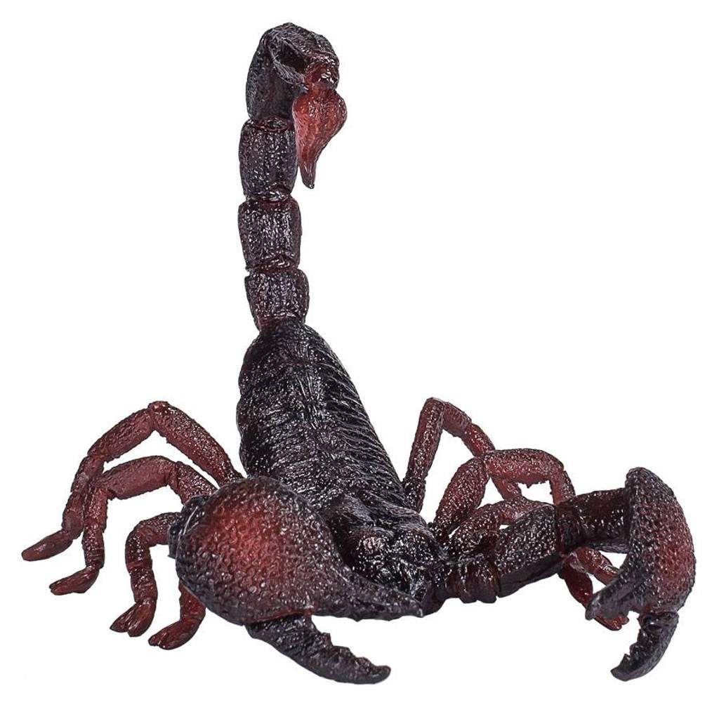 Mojo Emperor Scorpion front view