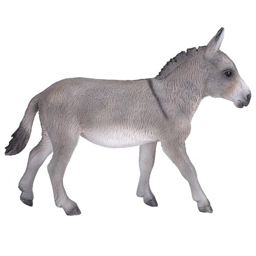 Mojo Donkey 2020