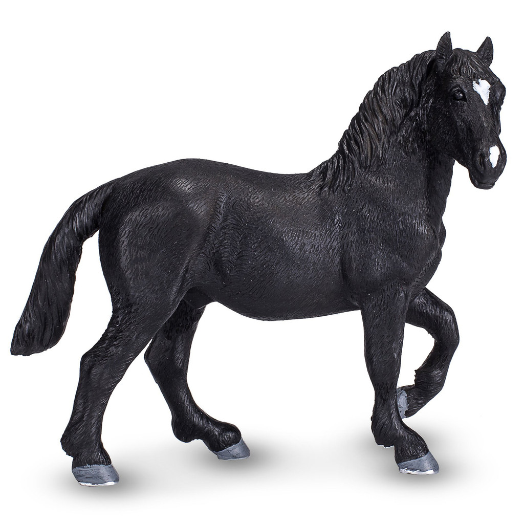 Mojo Percheron