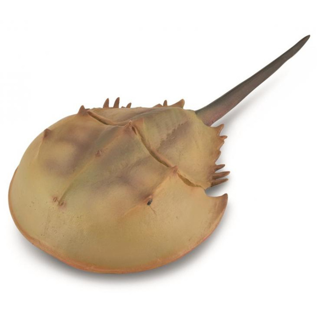 CollectA Horseshoe Crab 88905