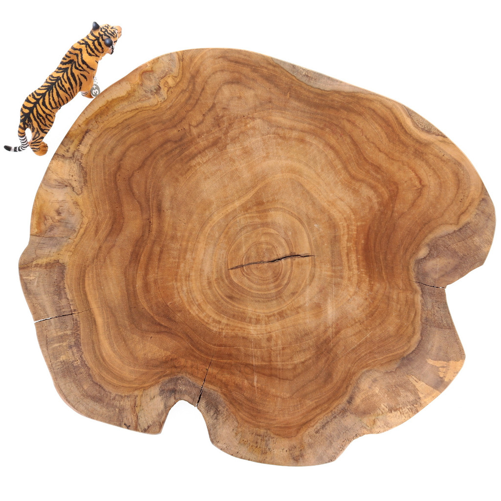 Papoose Wood Scape Slice with Schleich Tiger (sold separately)