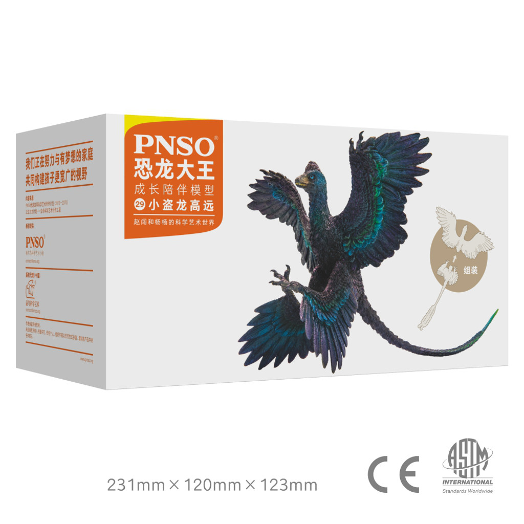 PNSO Gaoyuan the Microraptor
