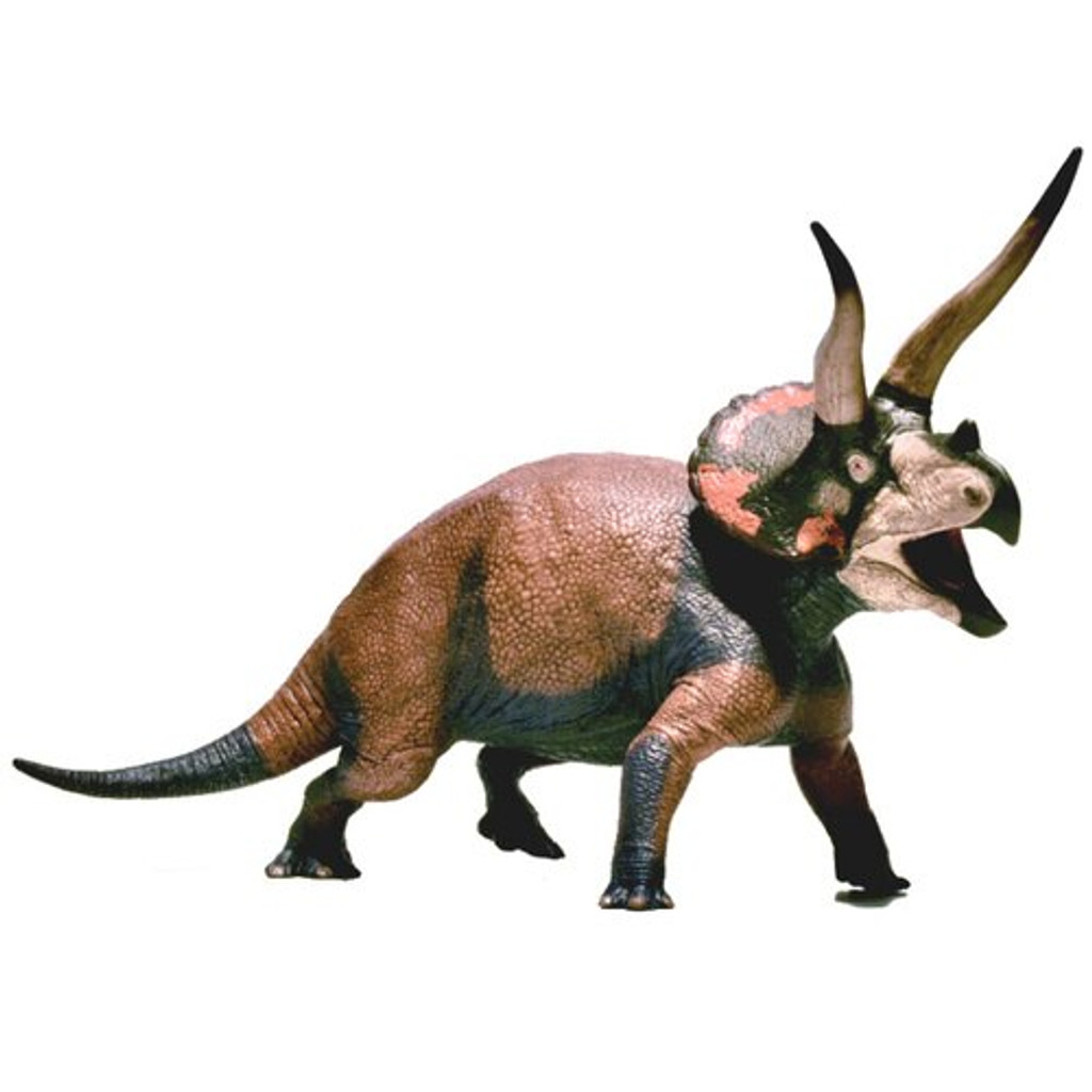 Eofauna Triceratops sp Dominant
