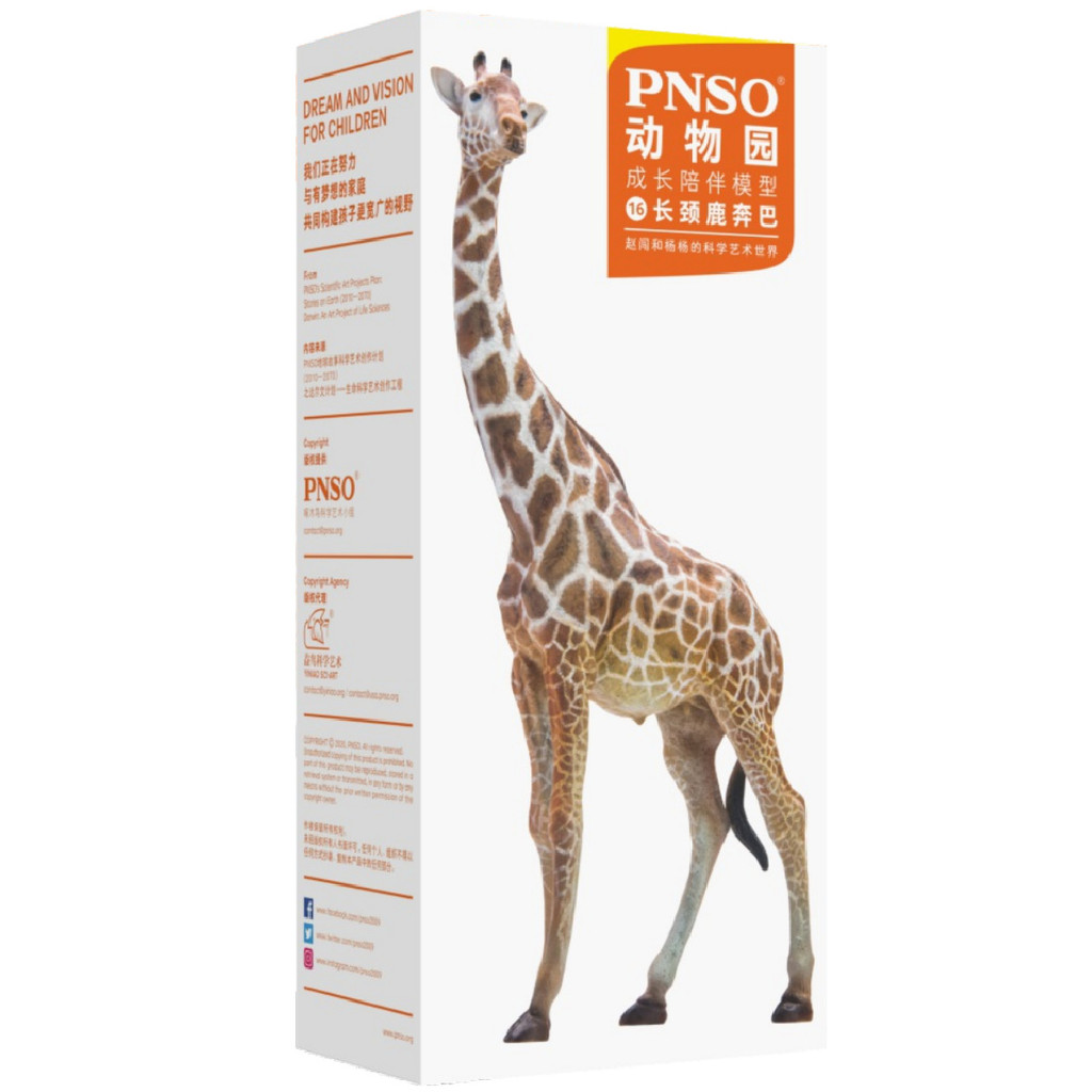 PNSO Bumba the Giraffe box