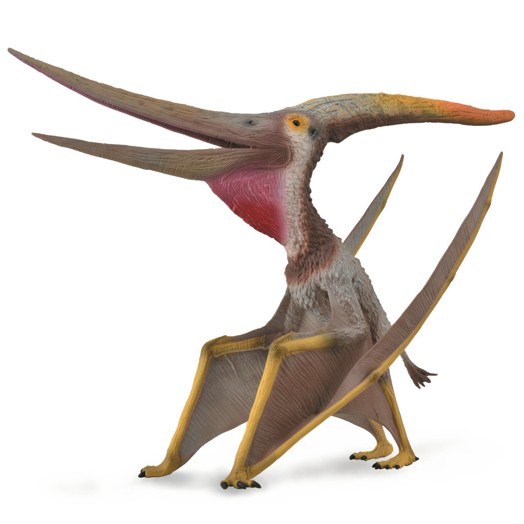 CollectA Pteranodon with Movable Jaw Deluxe