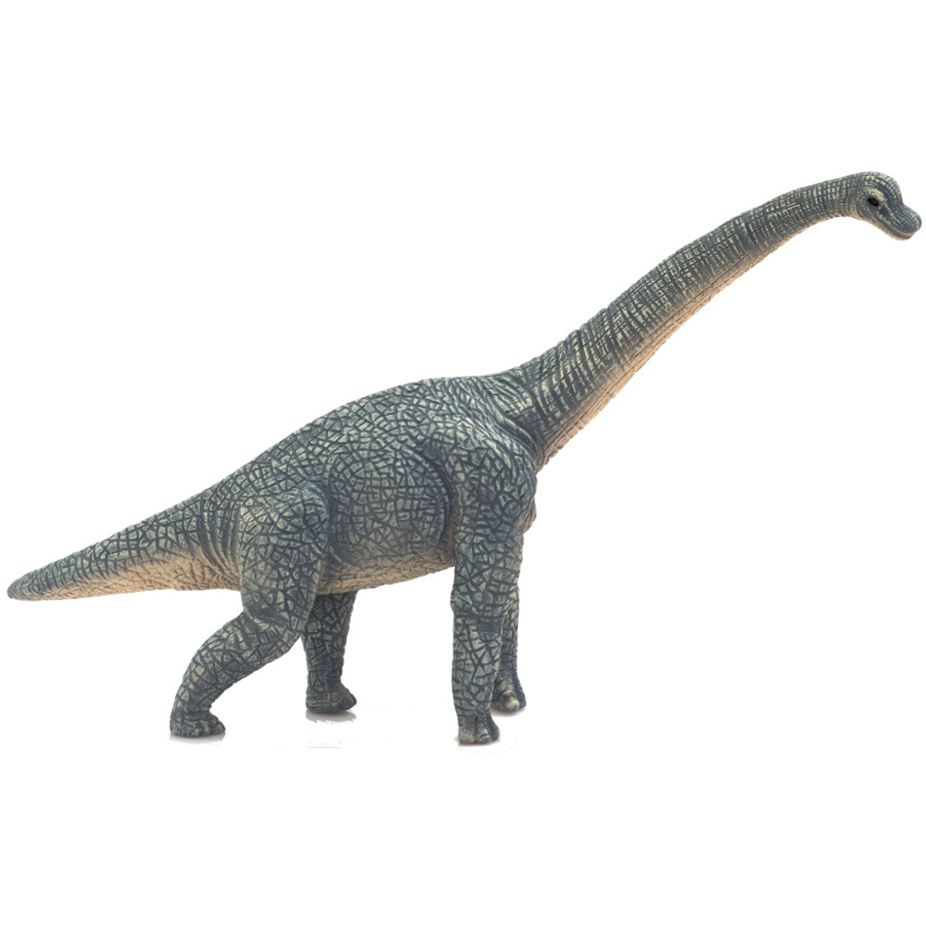 Mojo Brachiosaurus