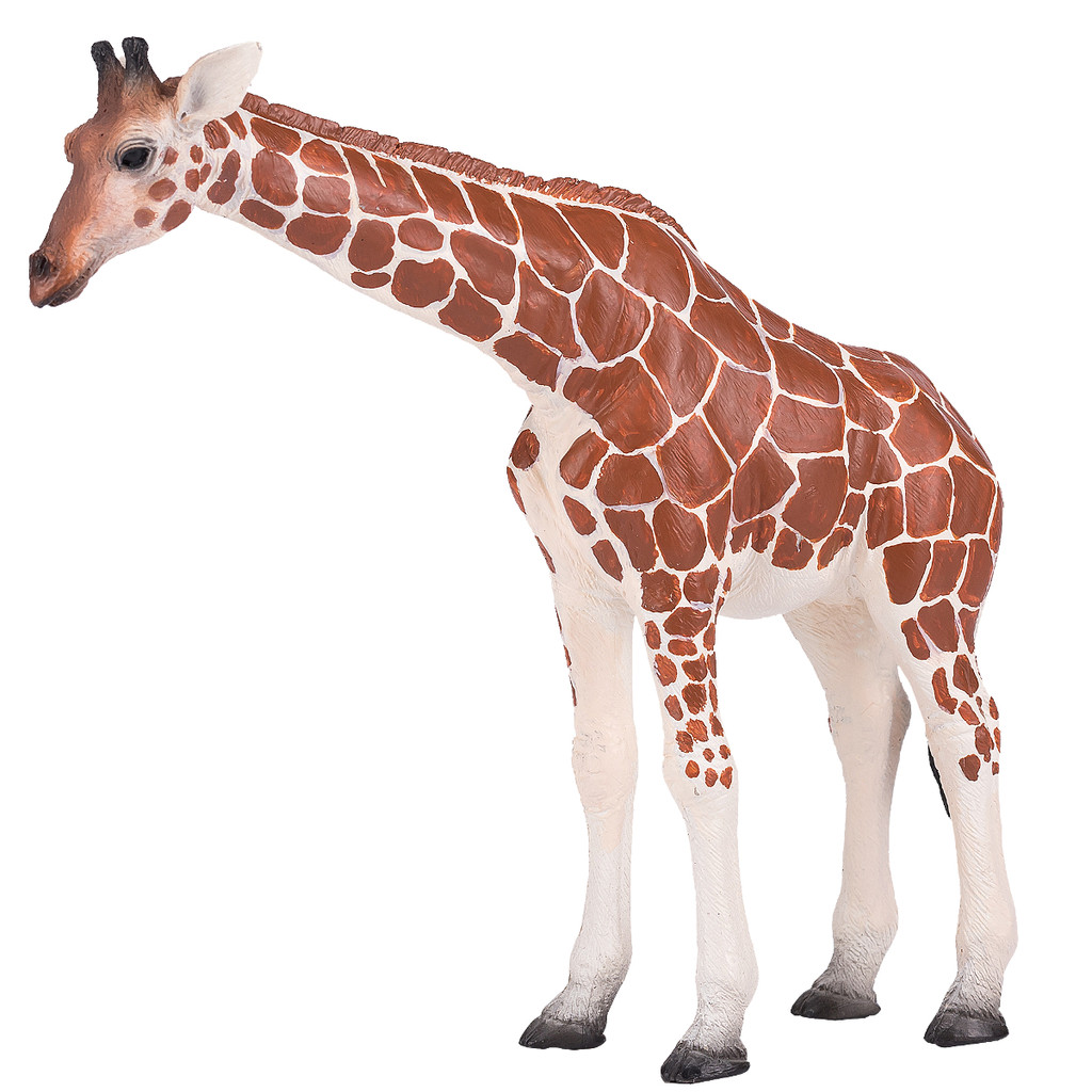 Mojo Giraffe Female