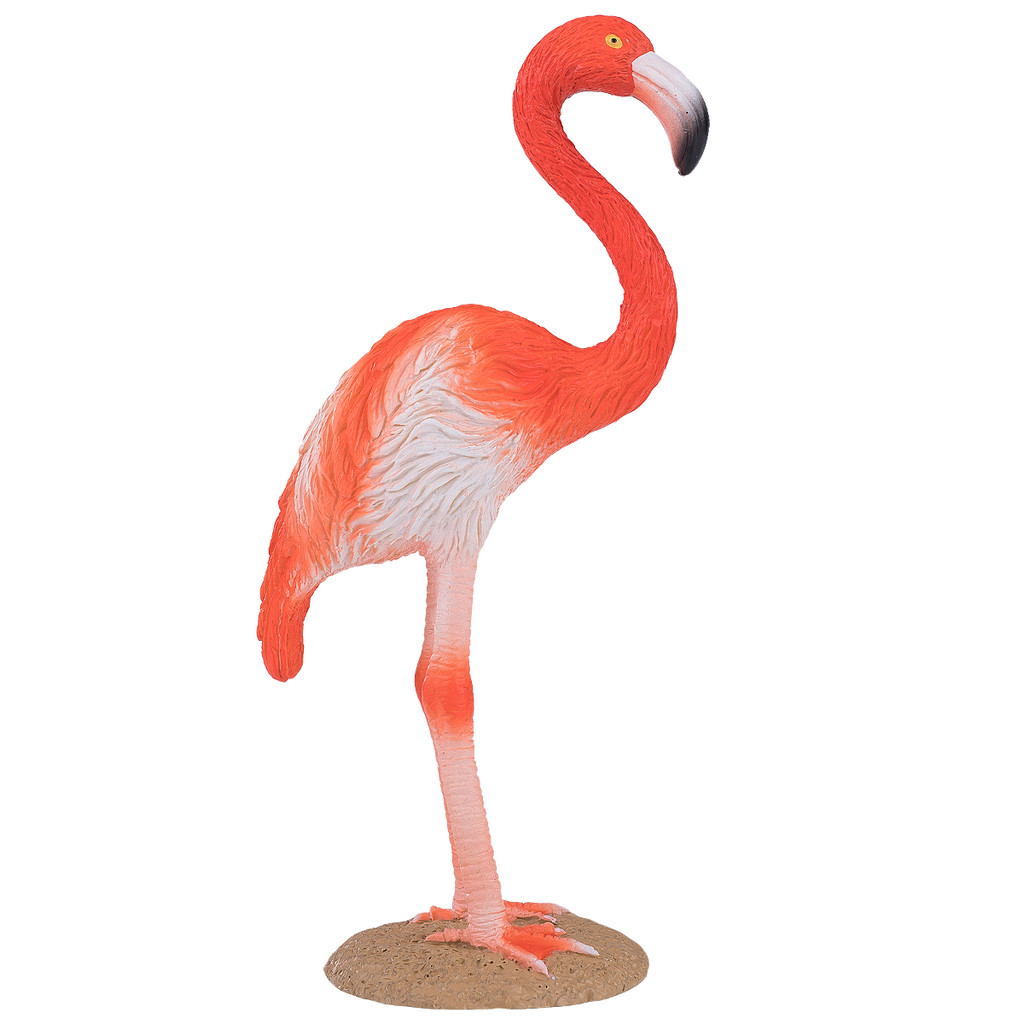 Mojo American Flamingo