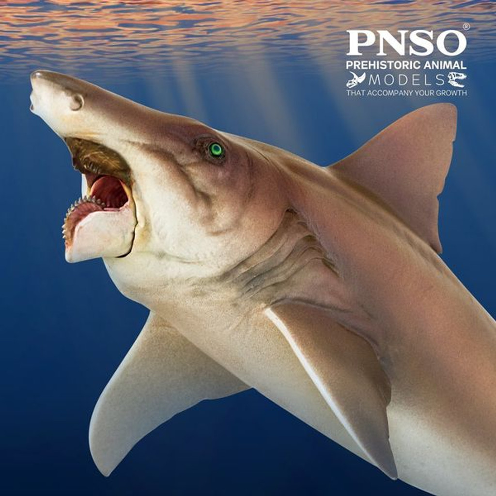 PNSO Haylee the Helicoprion lifestyle