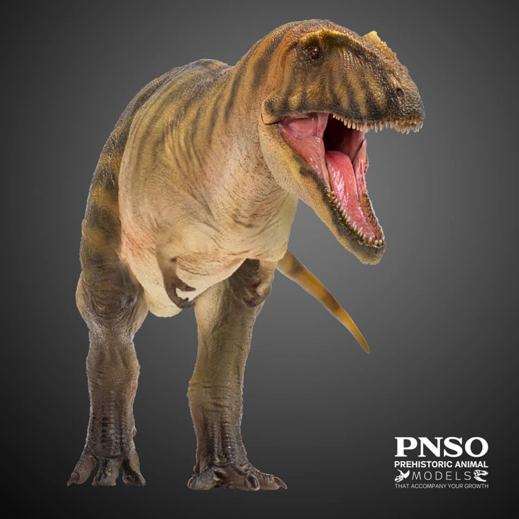 PNSO Gamba The Carcharodontosaurus front