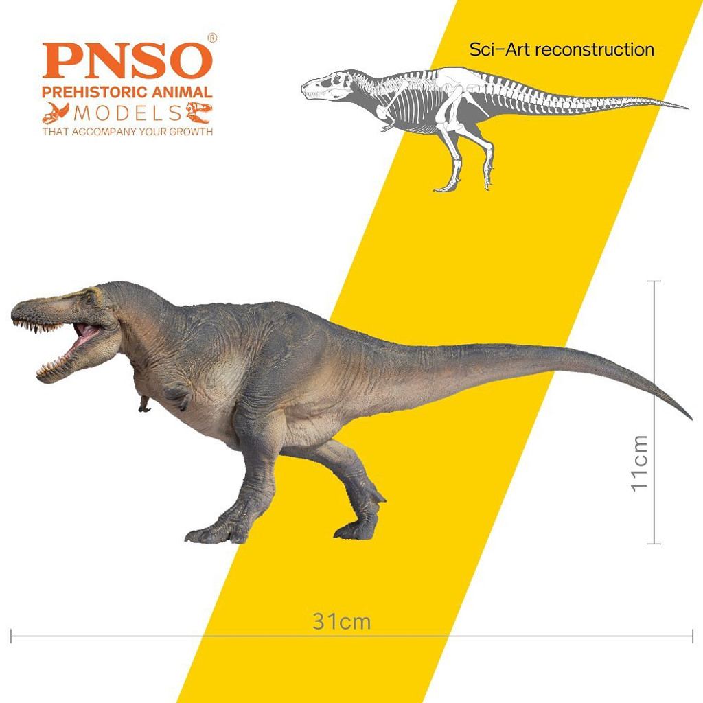 PNSO Chuanzi the Tarbosaurus size