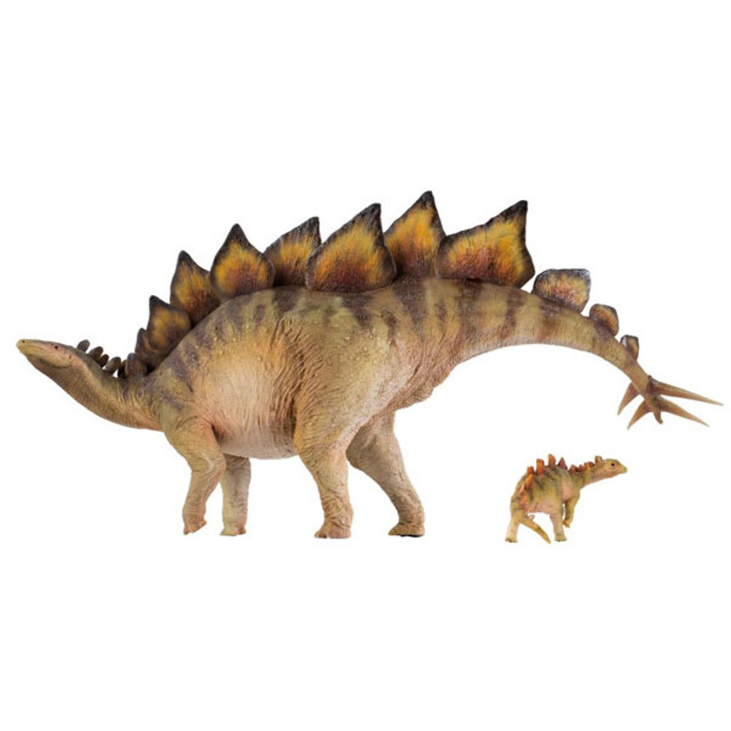 PNSO Stegosaurus Biber & Rook