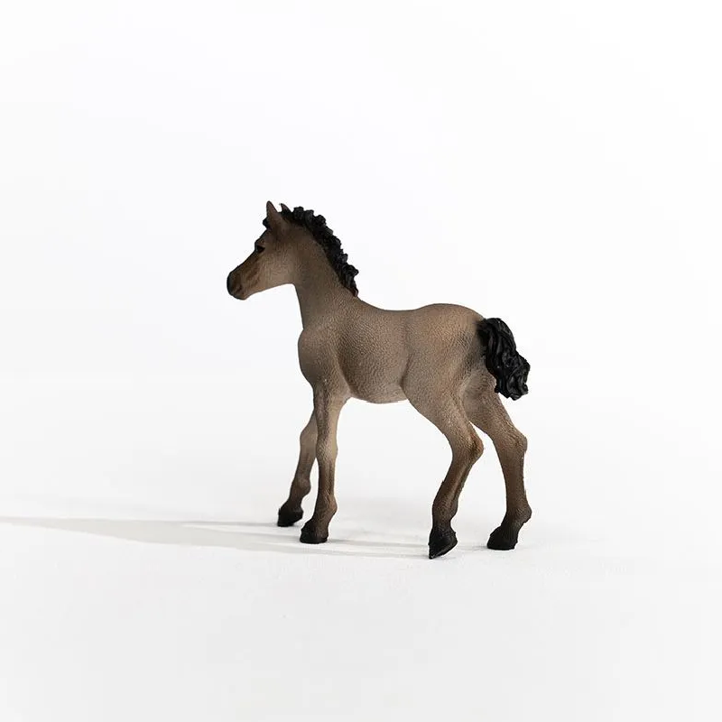 Schleich Criollo Definitivo Foal