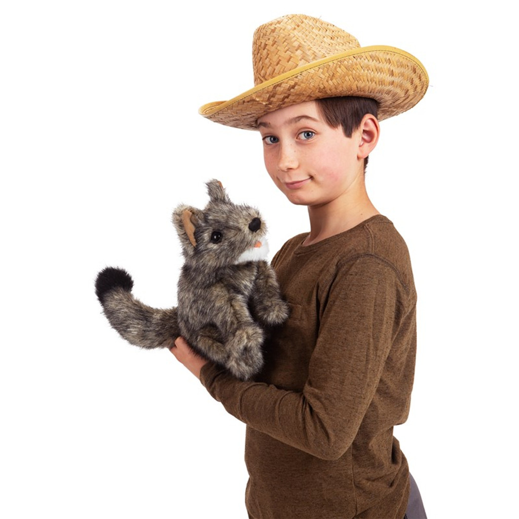 Folkmanis Small Coyote Hand Puppet with boy