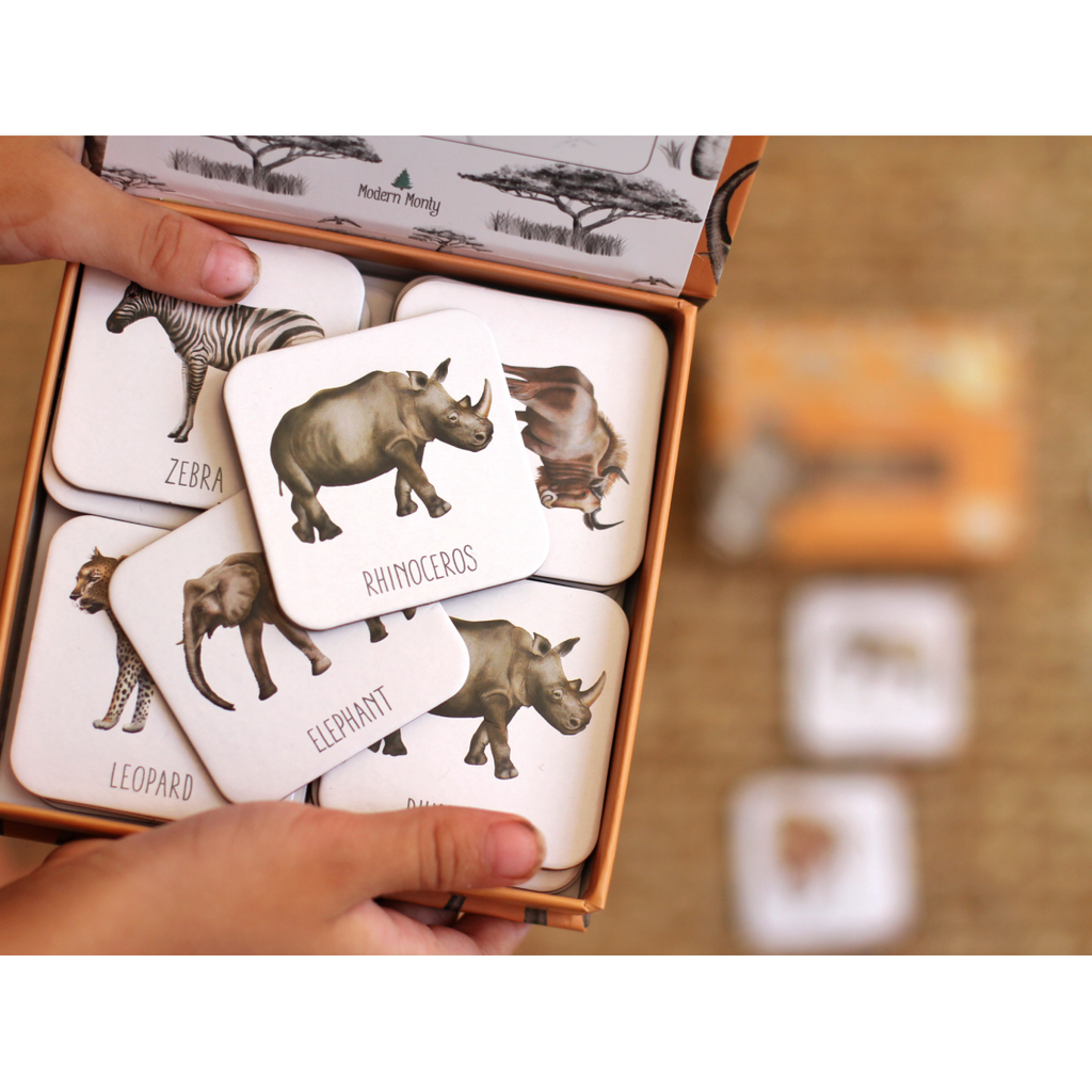 Africa Memory Card Game