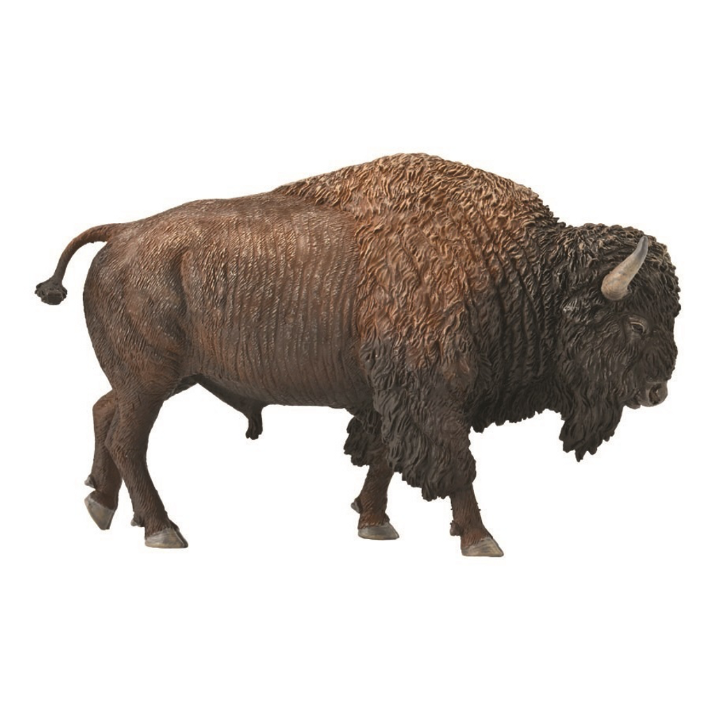 CollectA American Bison 2022