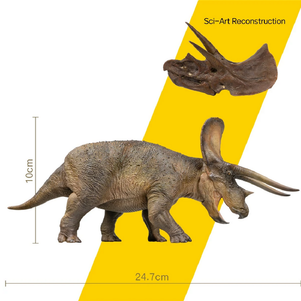 PNSO Doyle The Triceratops size