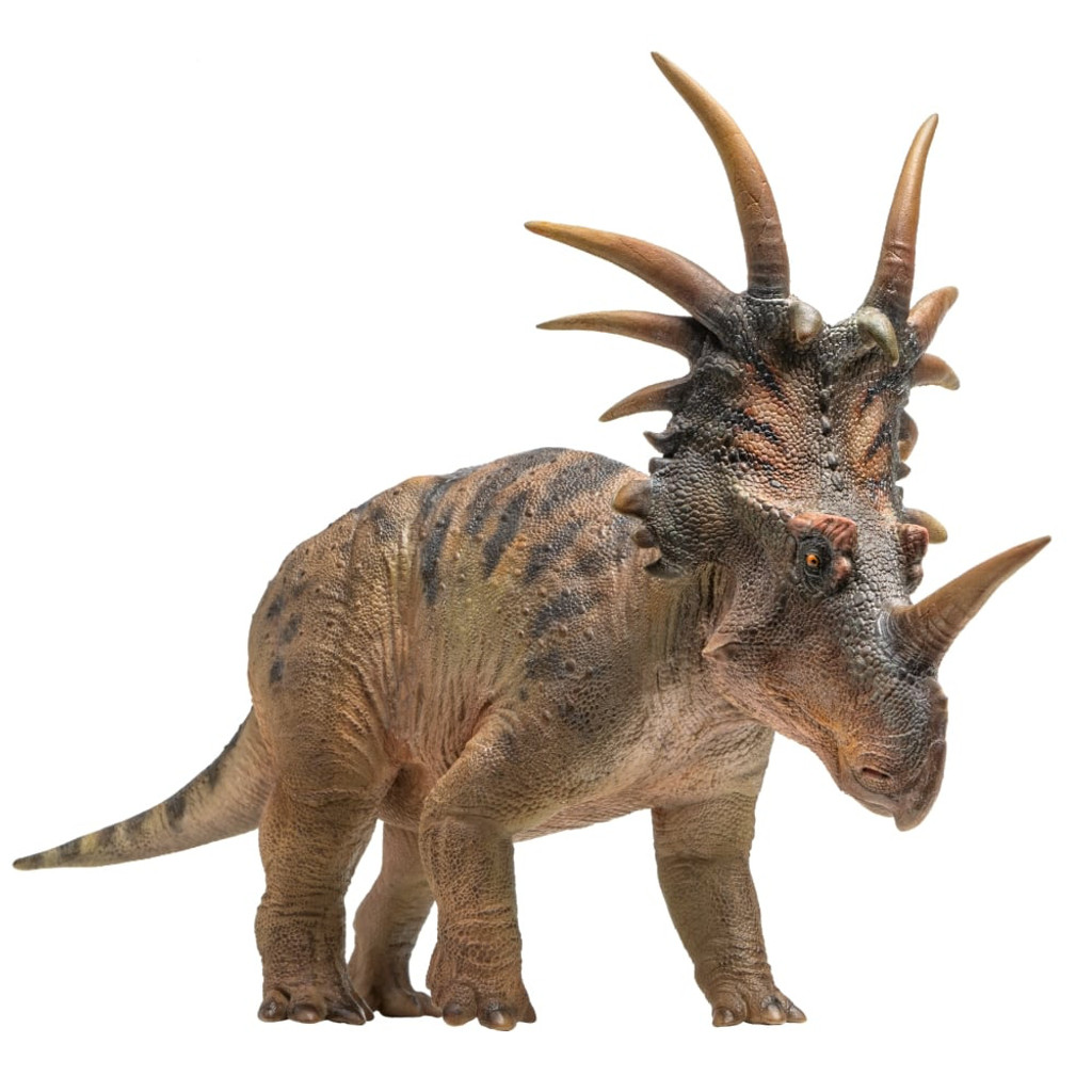 PNSO Anthony the Styracosaurus