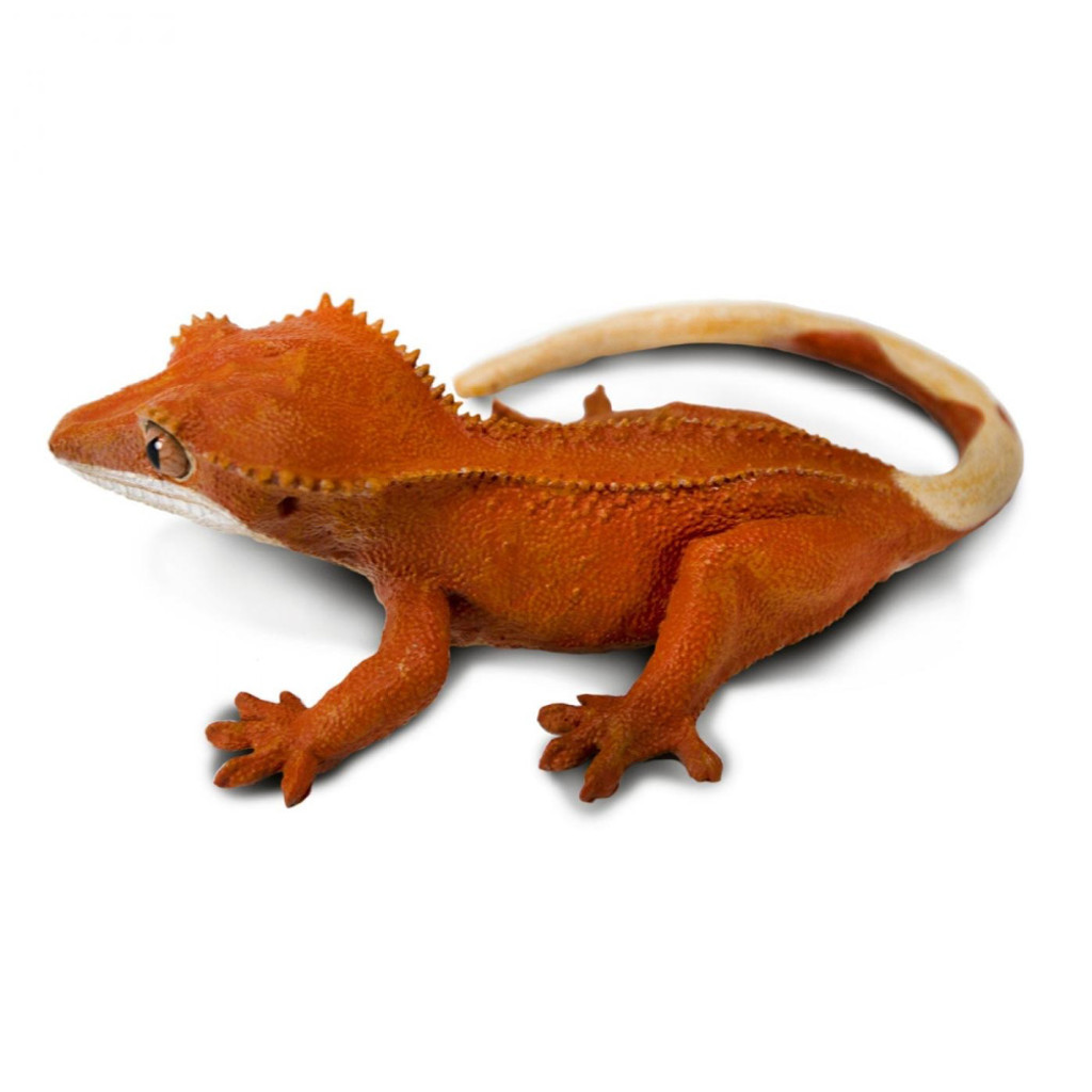 Safari Ltd Crested Gecko