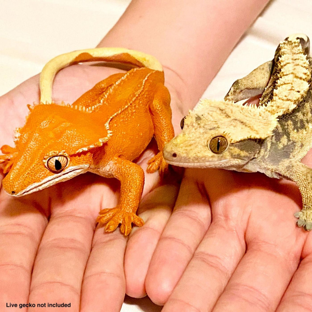 Safari Ltd Crested Gecko with live gecko