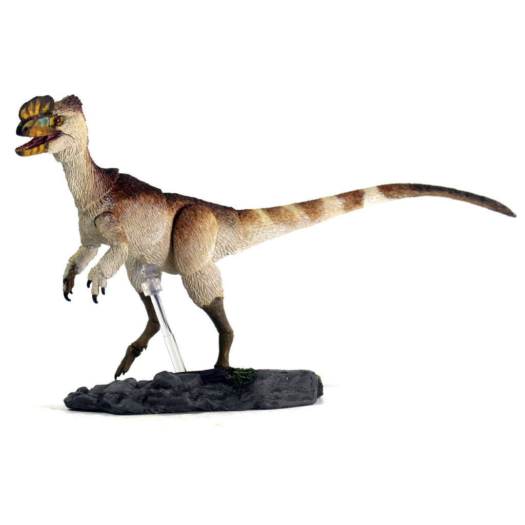 Creative Beast Studio Proceratosaurus Bradleyi 1:18 Scale
