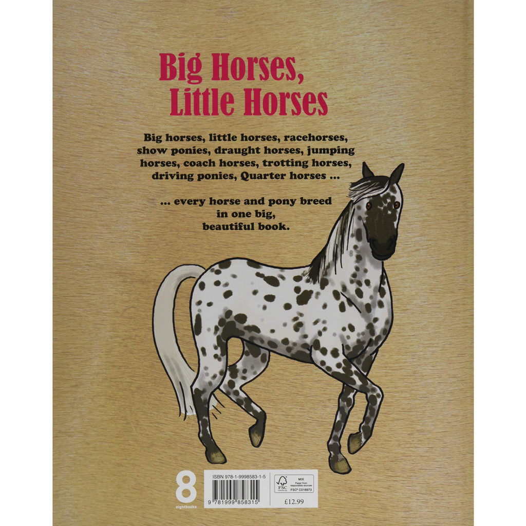 Big Horses, Little Horses back cover